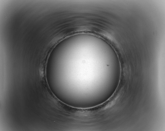 X0000088700929200706071537