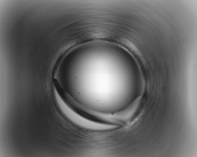X0000088700930200706071537