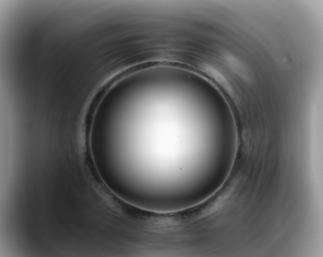 X0000088700931200706071537