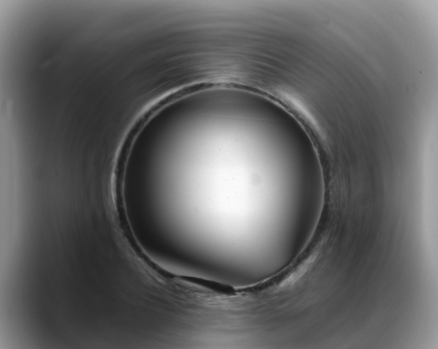 X0000088700932200706071537