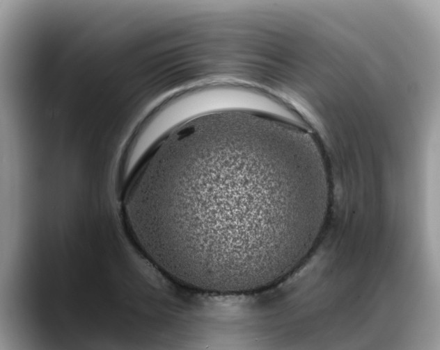 X0000088700934200706071537