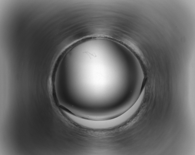 X0000088700936200706071537