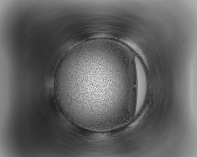 X0000088700937200706071537