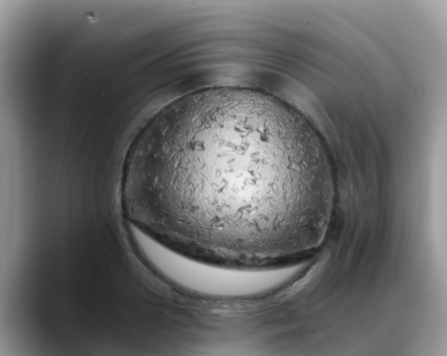 X0000088700938200706071537