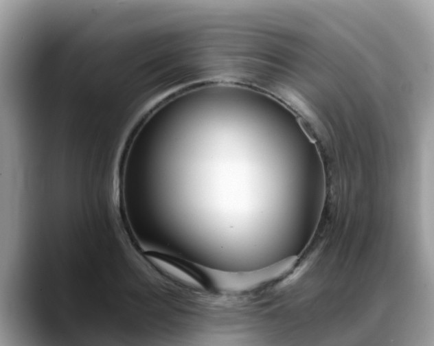 X0000088700940200706071537