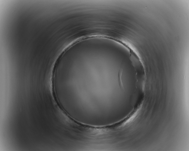 X0000088700941200706071537