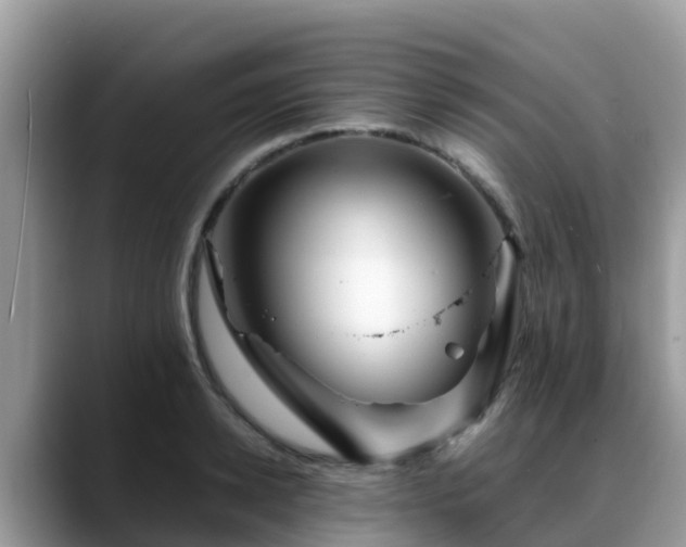 X0000088700942200706071537