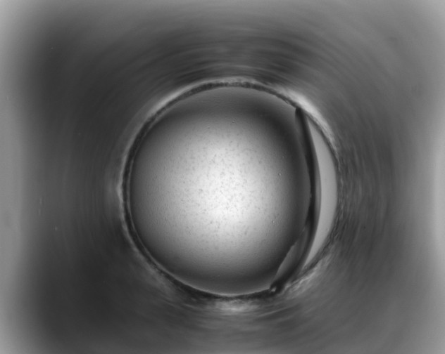 X0000088700943200706071537