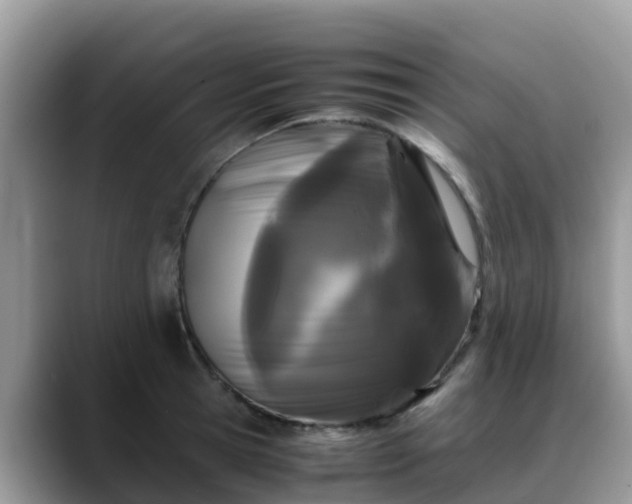 X0000088700945200706071537