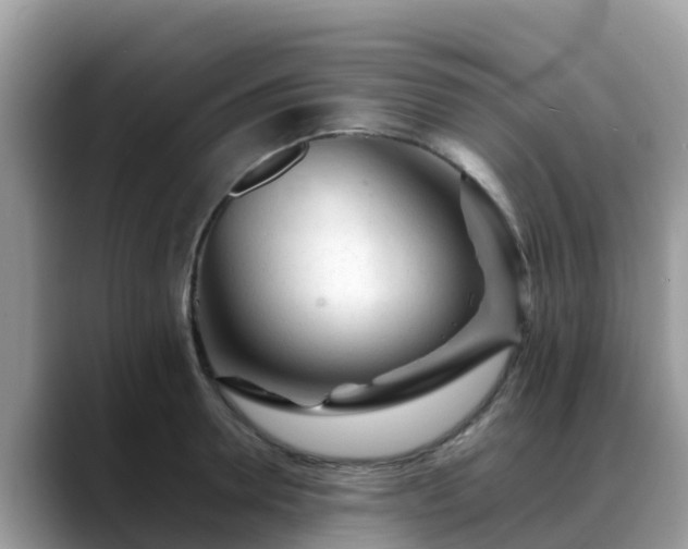 X0000088700946200706071537