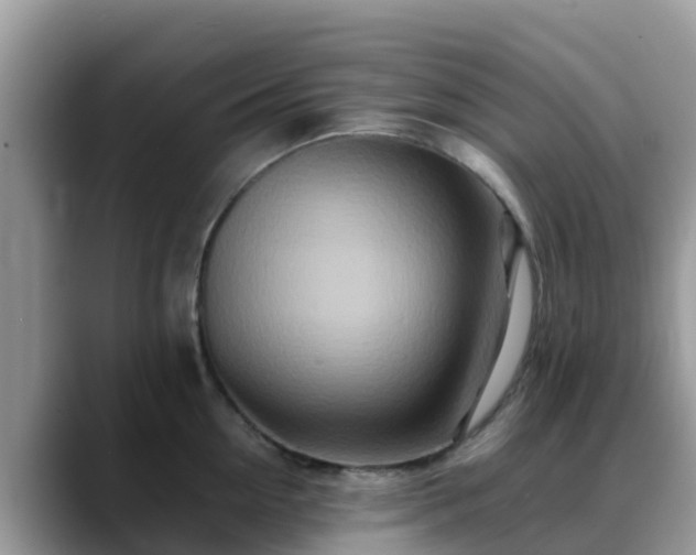 X0000088700954200706071537