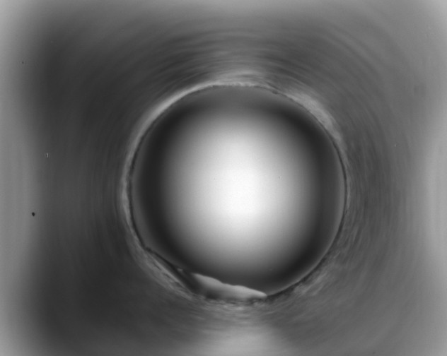 X0000088700960200706071537