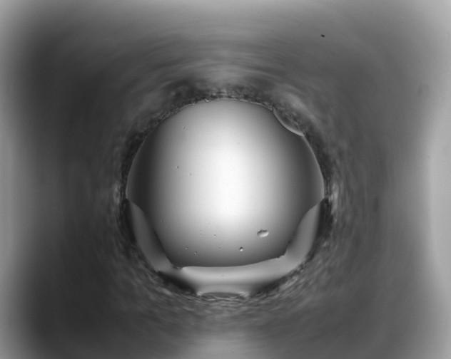 X0000088700965200706071536