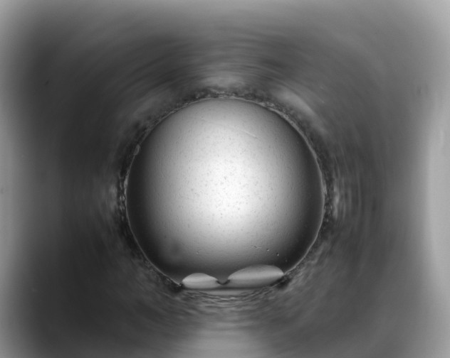 X0000088700966200706071536