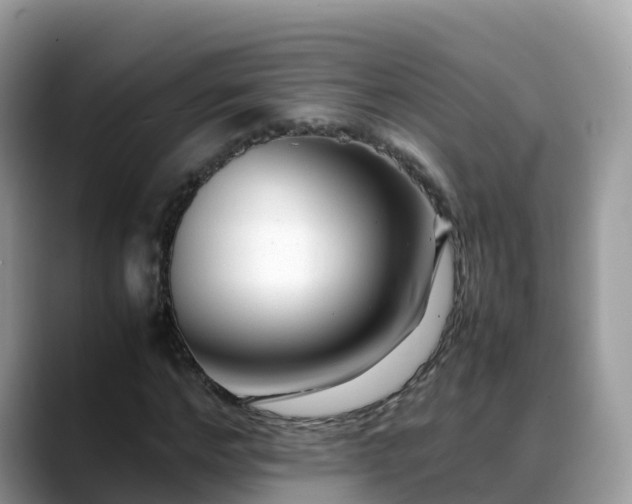 X0000088700968200706071536