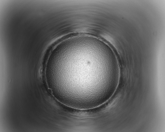 X0000088700971200706071536