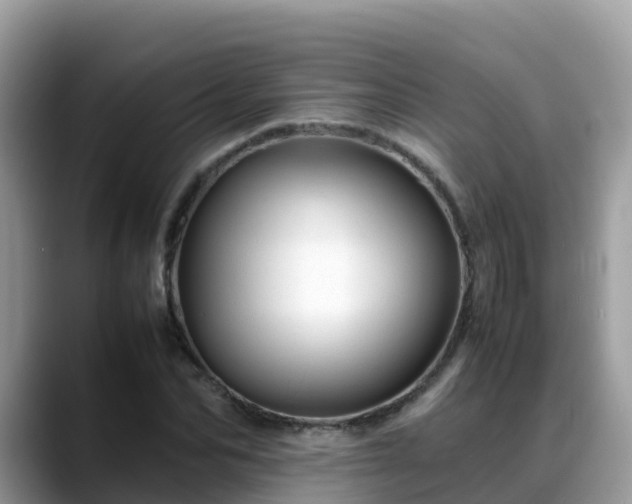 X0000088700974200706071536
