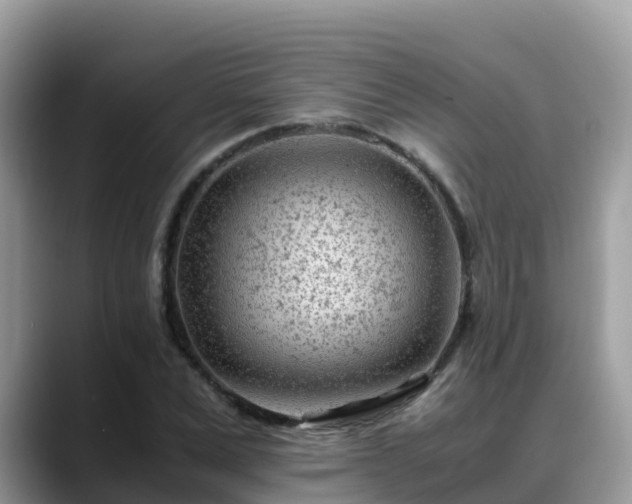 X0000088700975200706071536