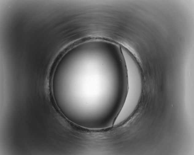 X0000088700976200706071536