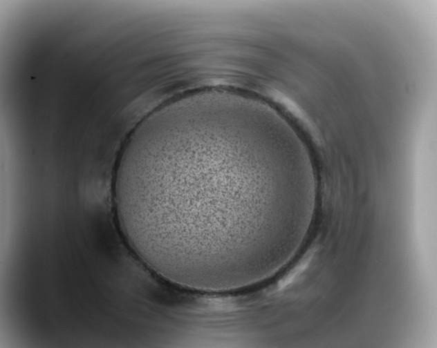 X0000088700977200706071536