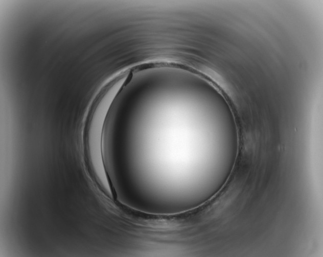 X0000088700980200706071536