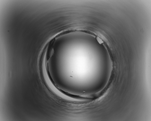 X0000088700981200706071536