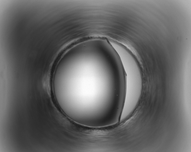 X0000088700984200706071536