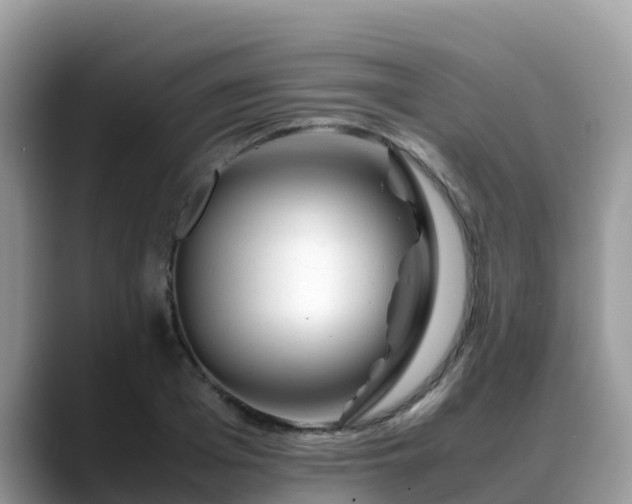 X0000088700985200706071536