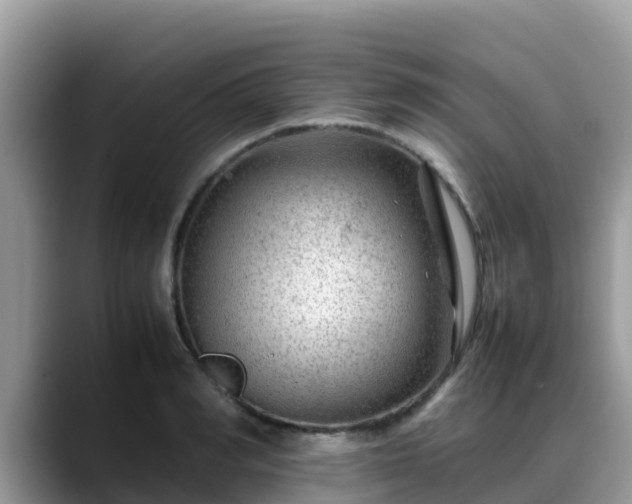 X0000088700990200706071536
