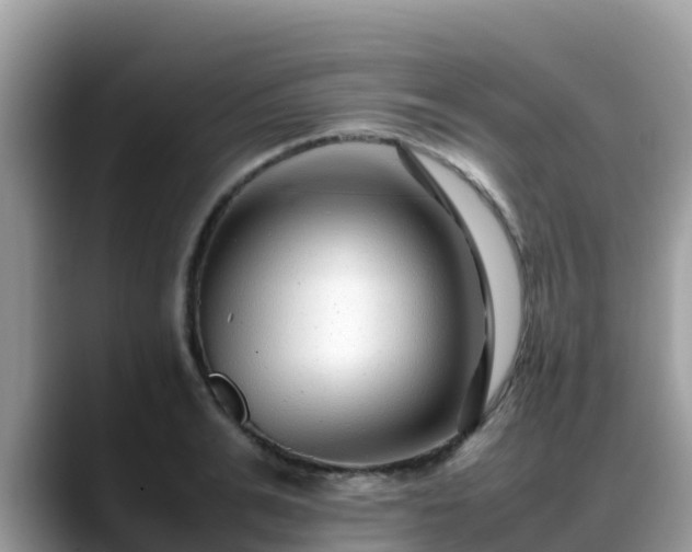 X0000088700991200706071536
