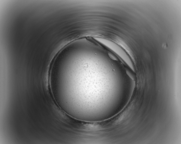 X0000088700994200706071536