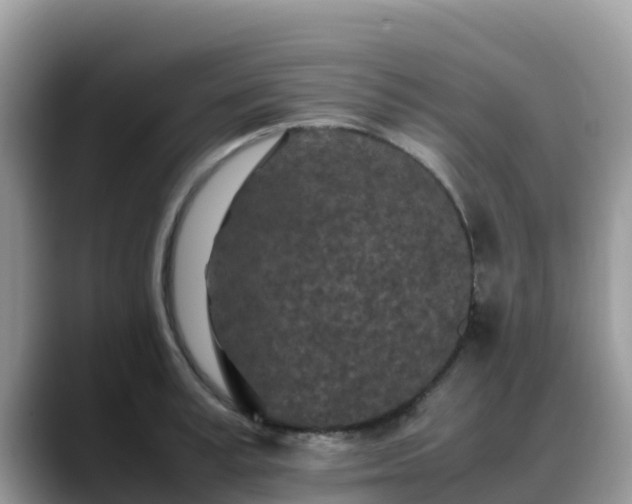 X0000088700995200706071536