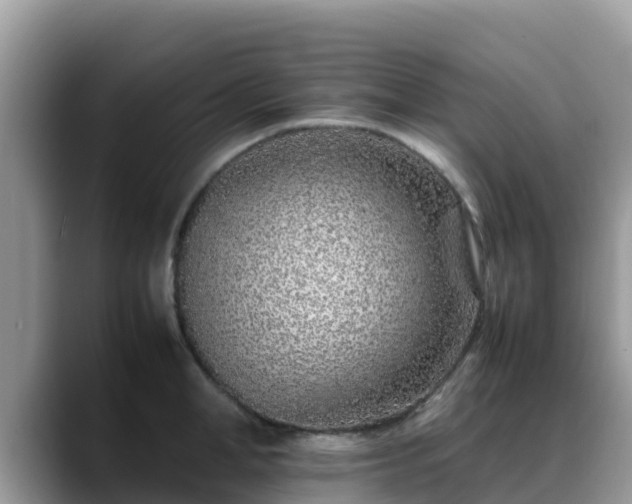 X0000088700998200706071536