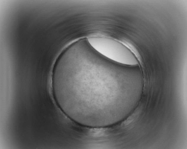 X0000088701000200706071536