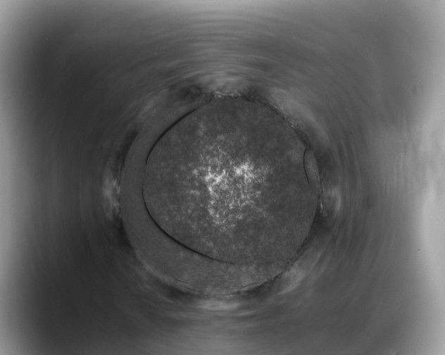 X0000088701010200706071535