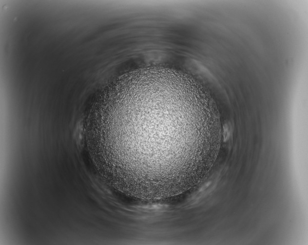 X0000088701011200706071535