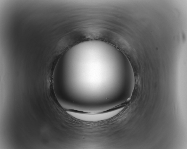 X0000088701012200706071535