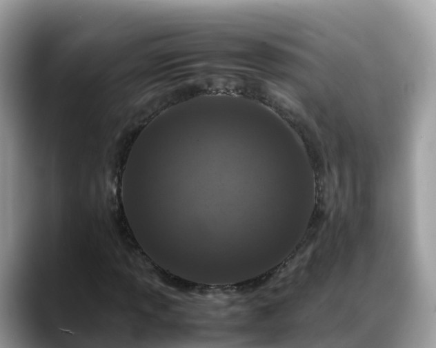 X0000088701013200706071535