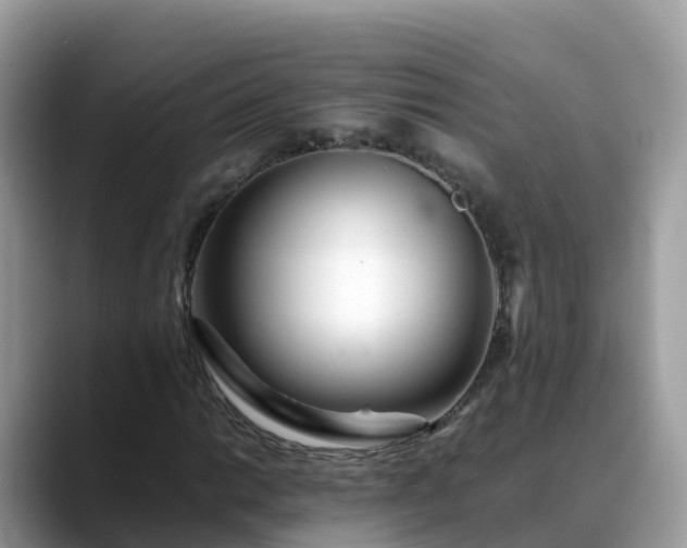 X0000088701014200706071535