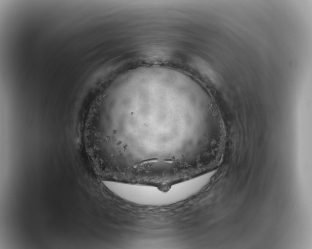 X0000088701016200706071535