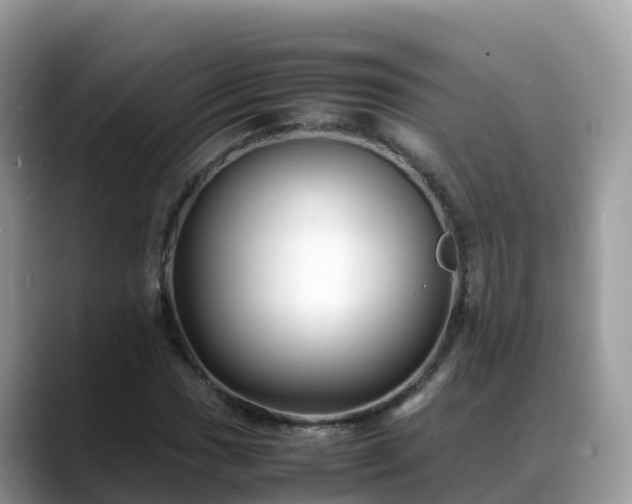 X0000088701017200706071535