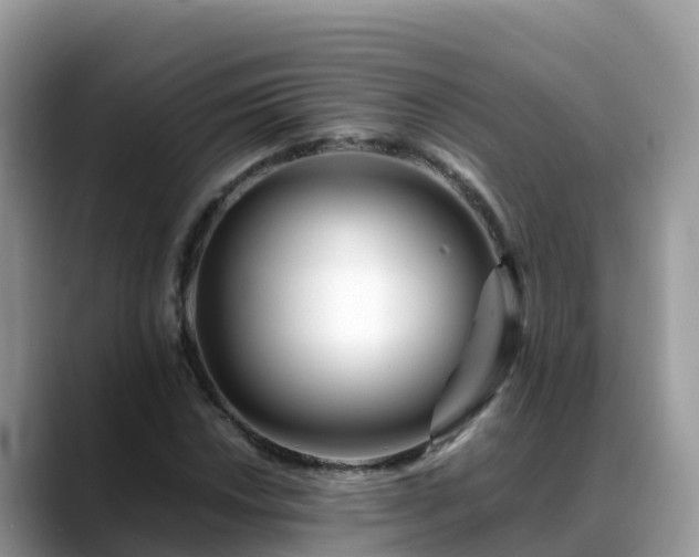 X0000088701018200706071535