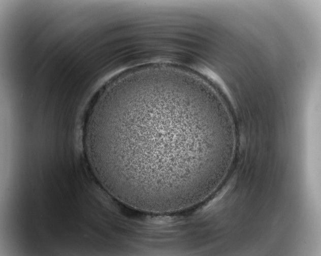 X0000088701019200706071535