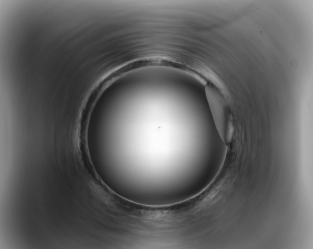 X0000088701020200706071535