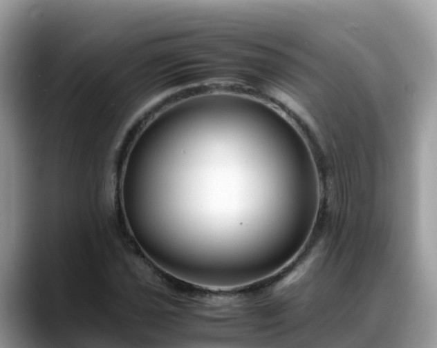 X0000088701021200706071535