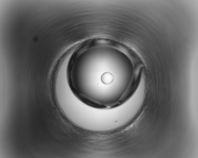 X0000088701022200706071535