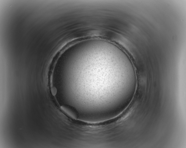 X0000088701023200706071535