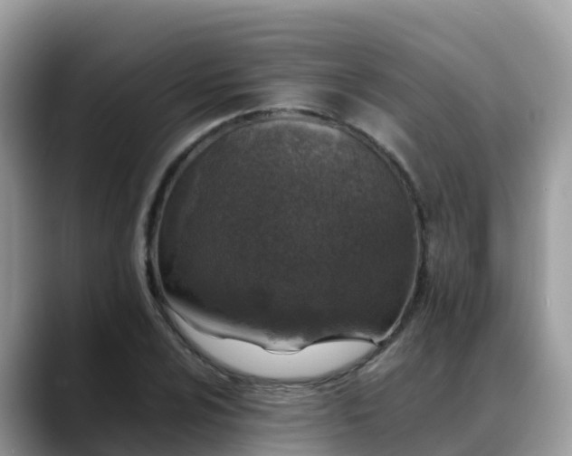 X0000088701024200706071535