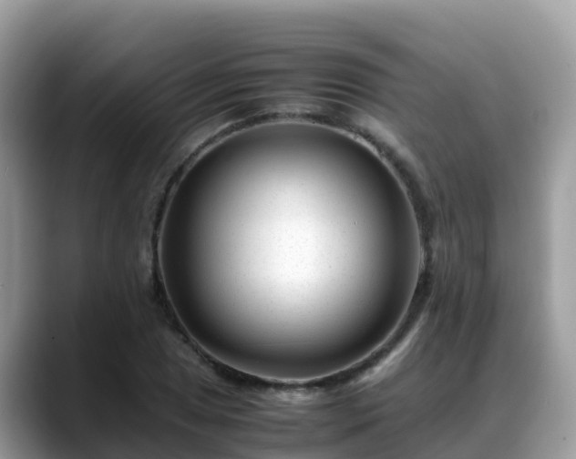 X0000088701025200706071535