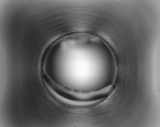 X0000088701026200706071535